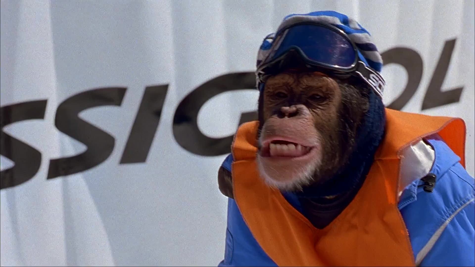 MXP: Most Xtreme Primate