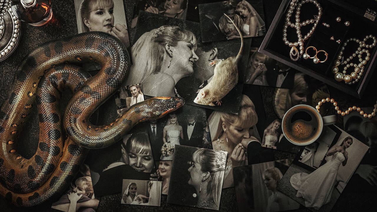 Elize Matsunaga: Once Upon a Crime