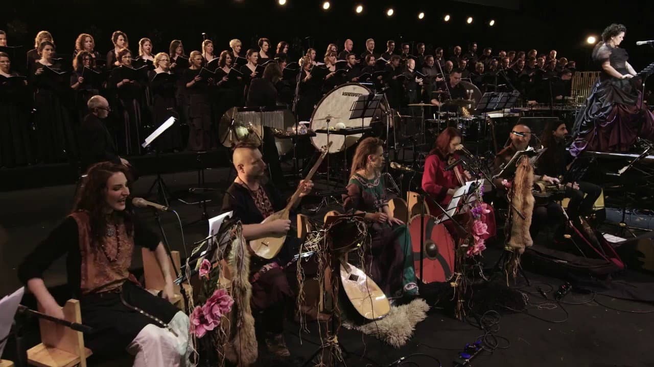 The Witcher 3: Wild Hunt - Live Concert