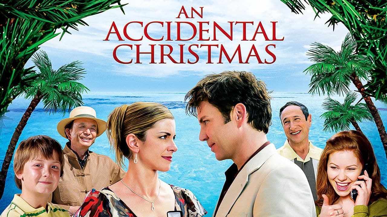 An Accidental Christmas