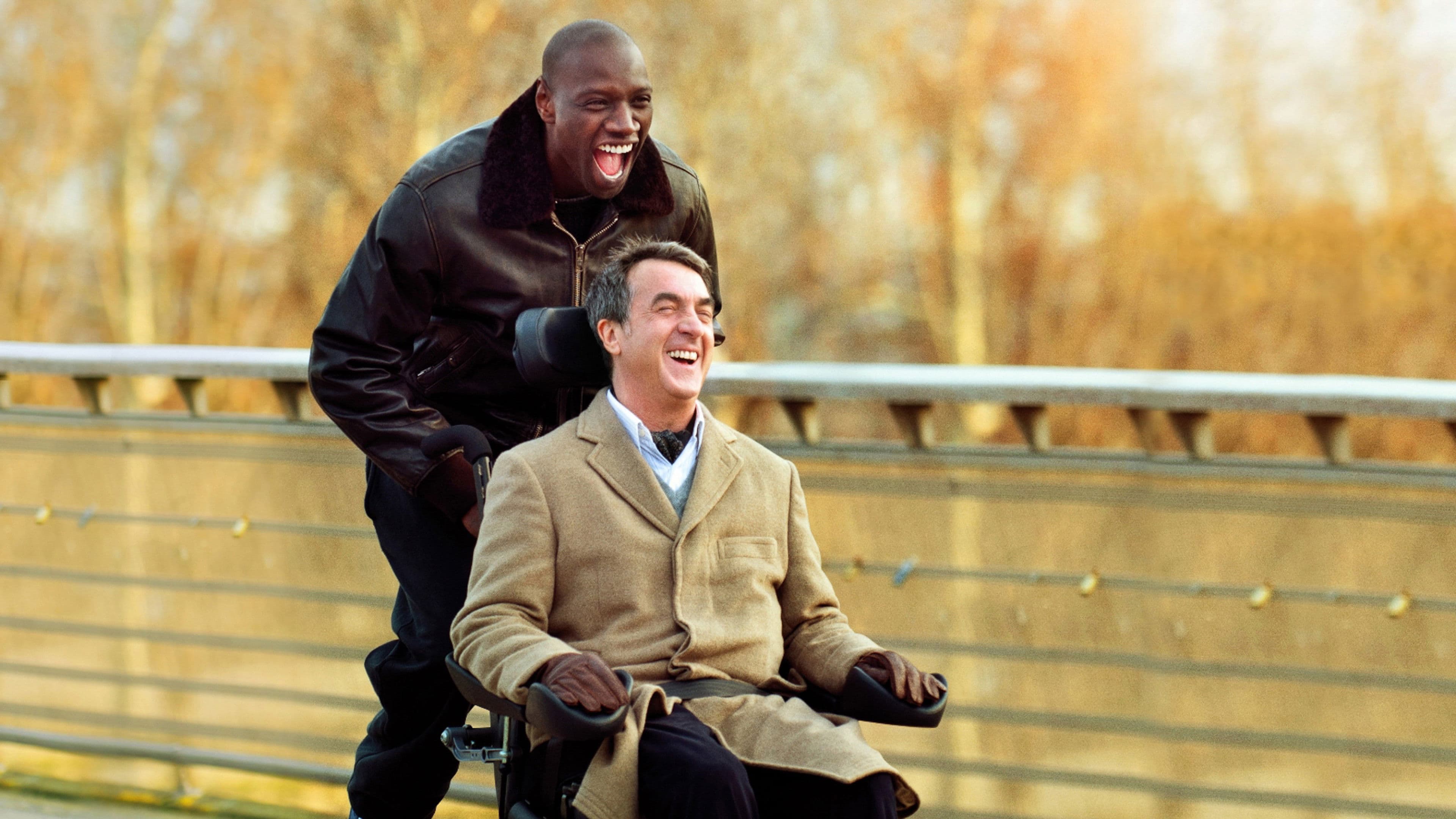 The Intouchables