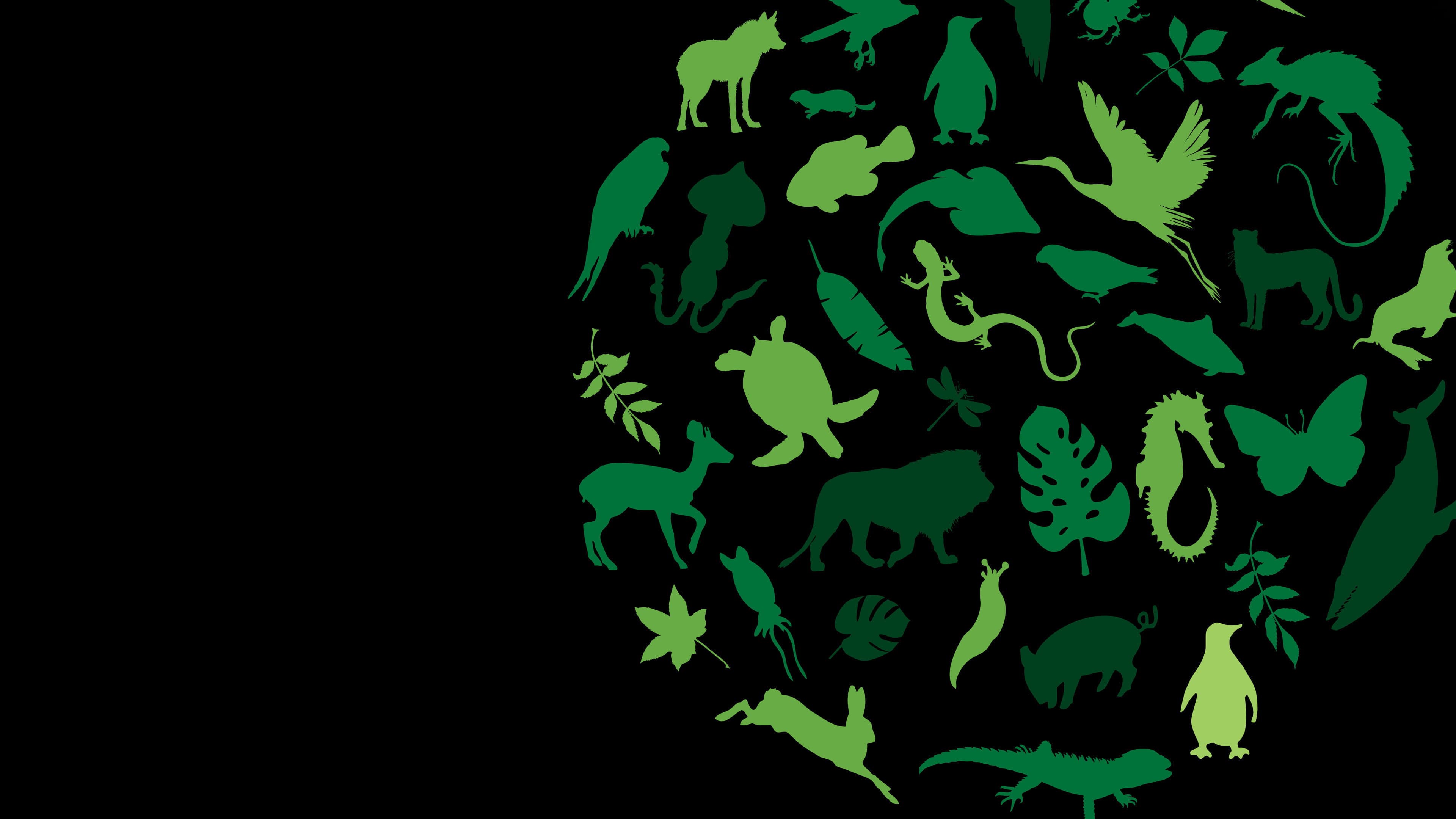 Born Wild: The Next Generation