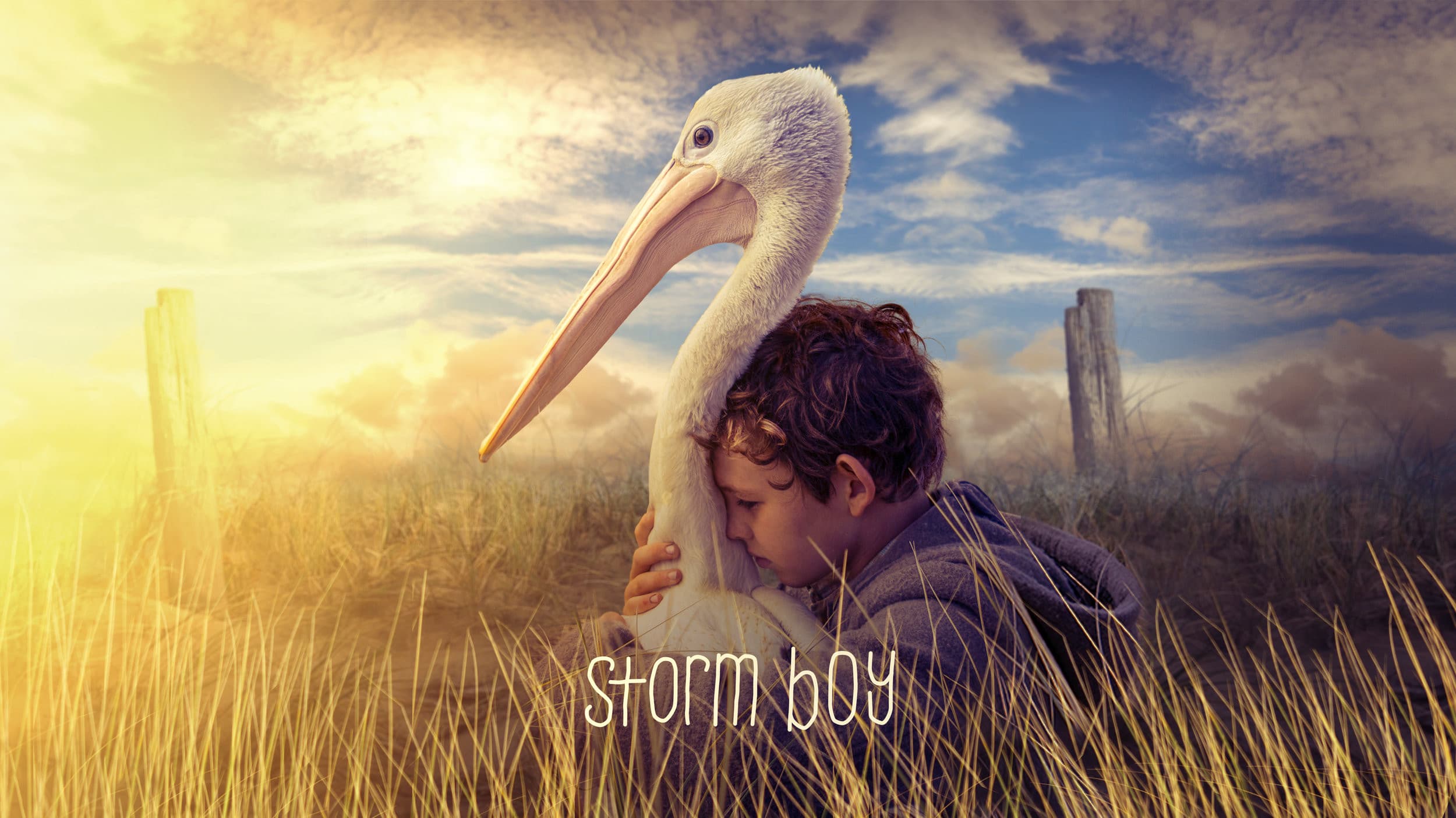 Storm Boy