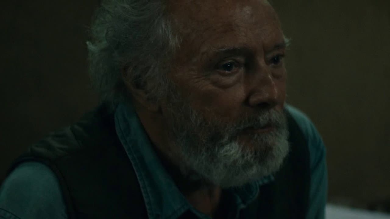 And the Birds Rained Down