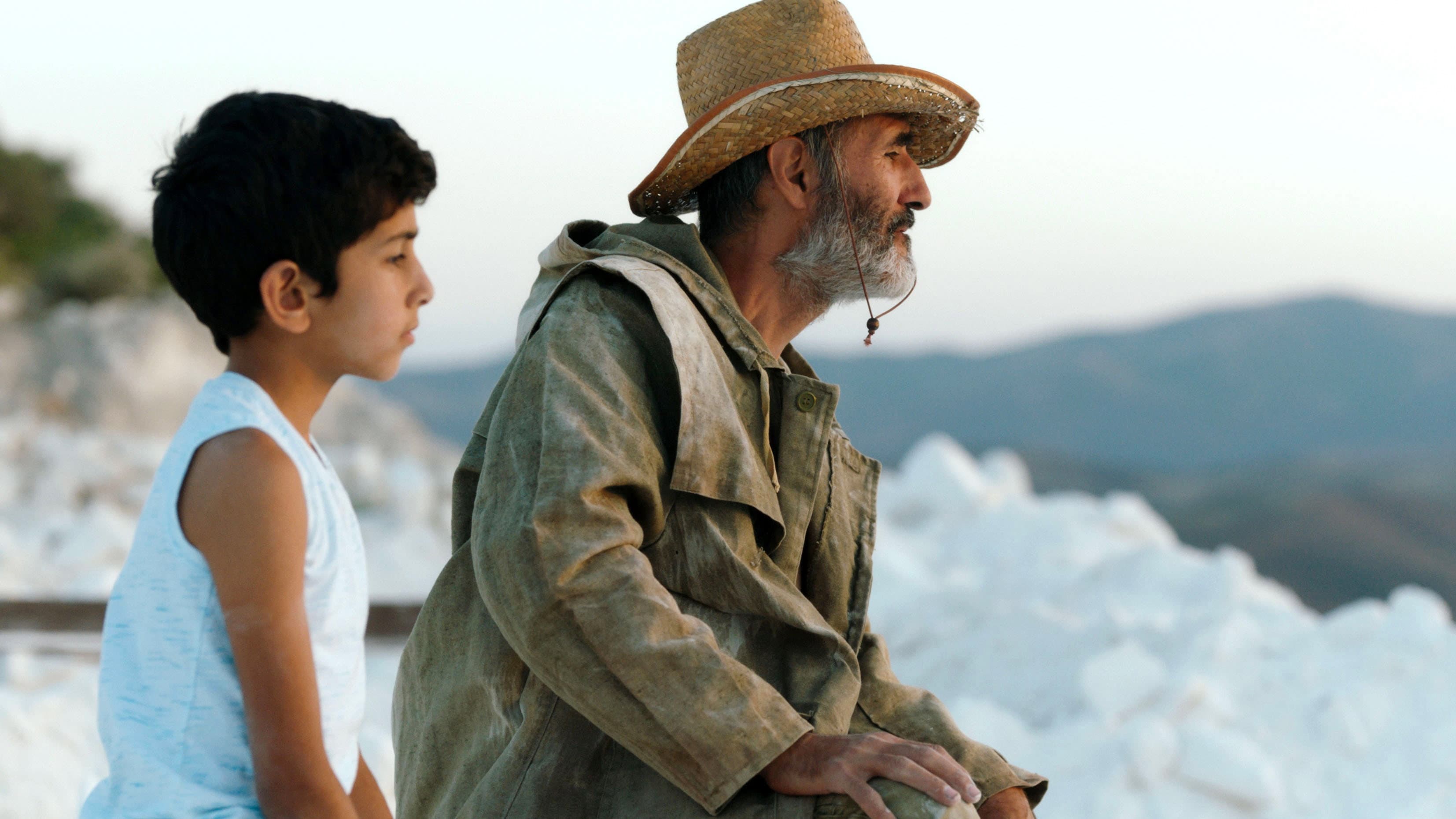 Should the Wind Drop