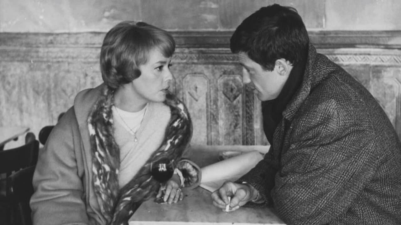 Seven Days… Seven Nights