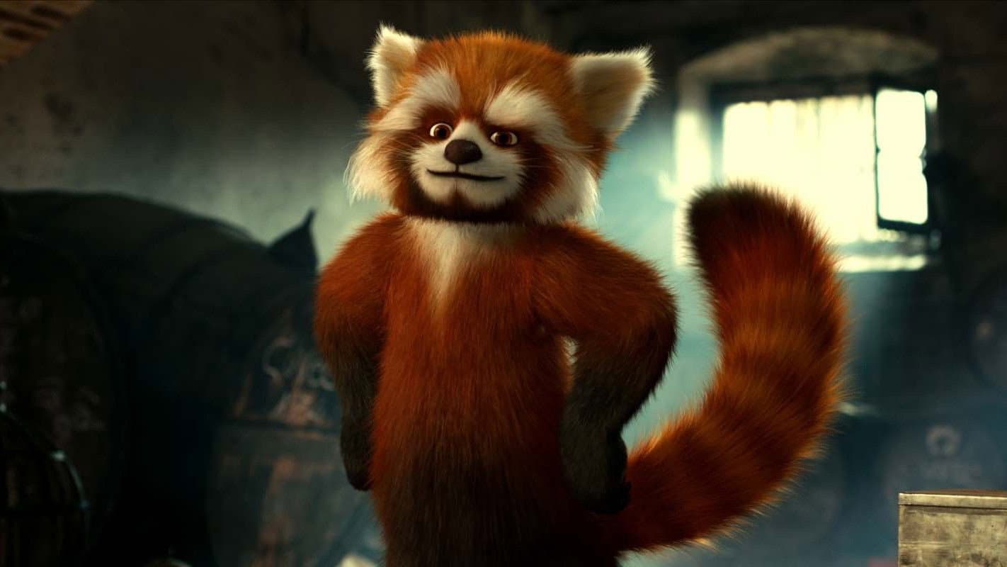 Snowflake, the White Gorilla