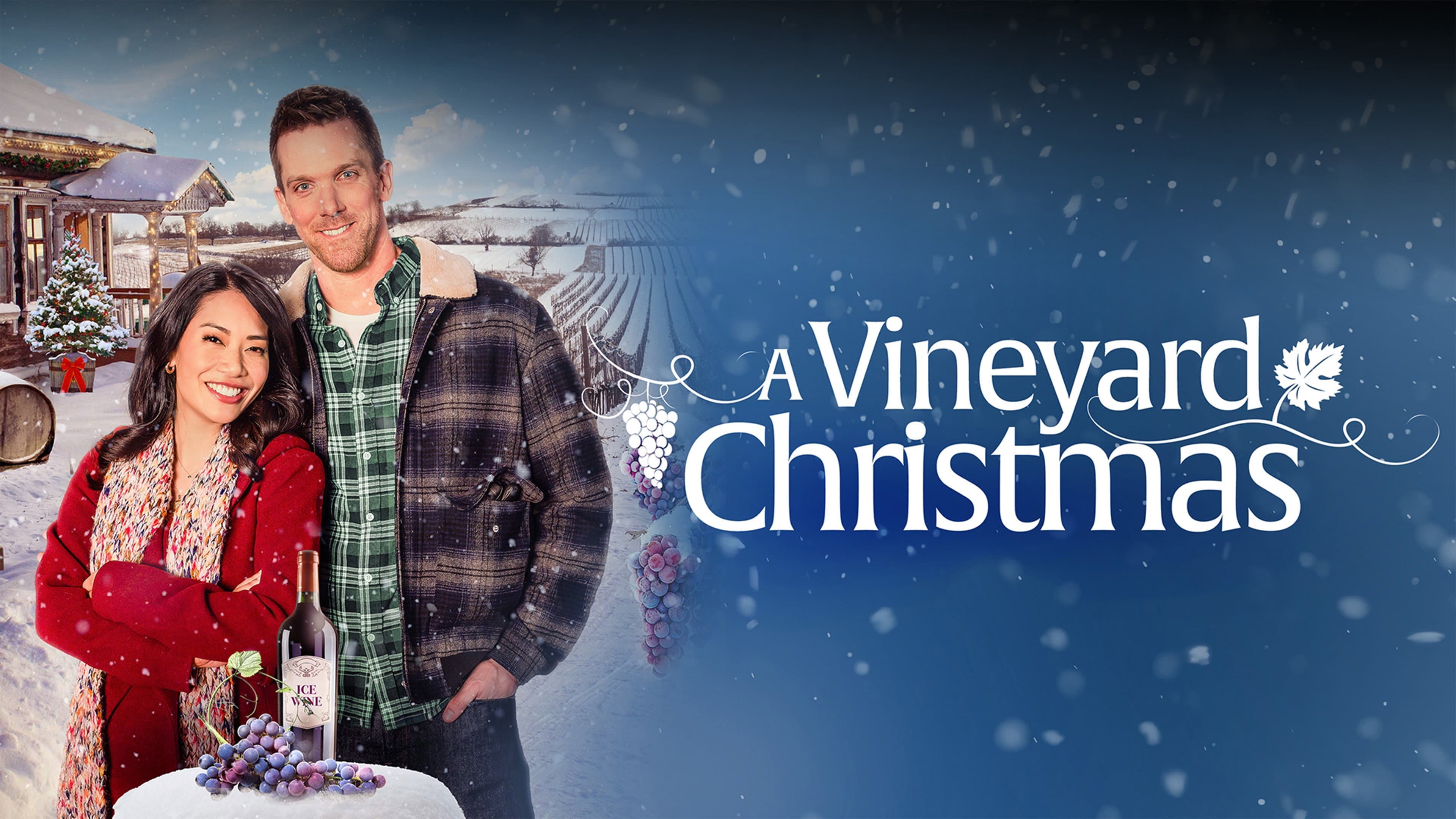 A Vineyard Christmas