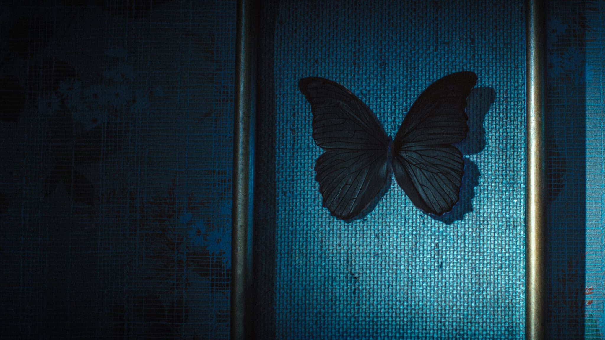Black Butterflies
