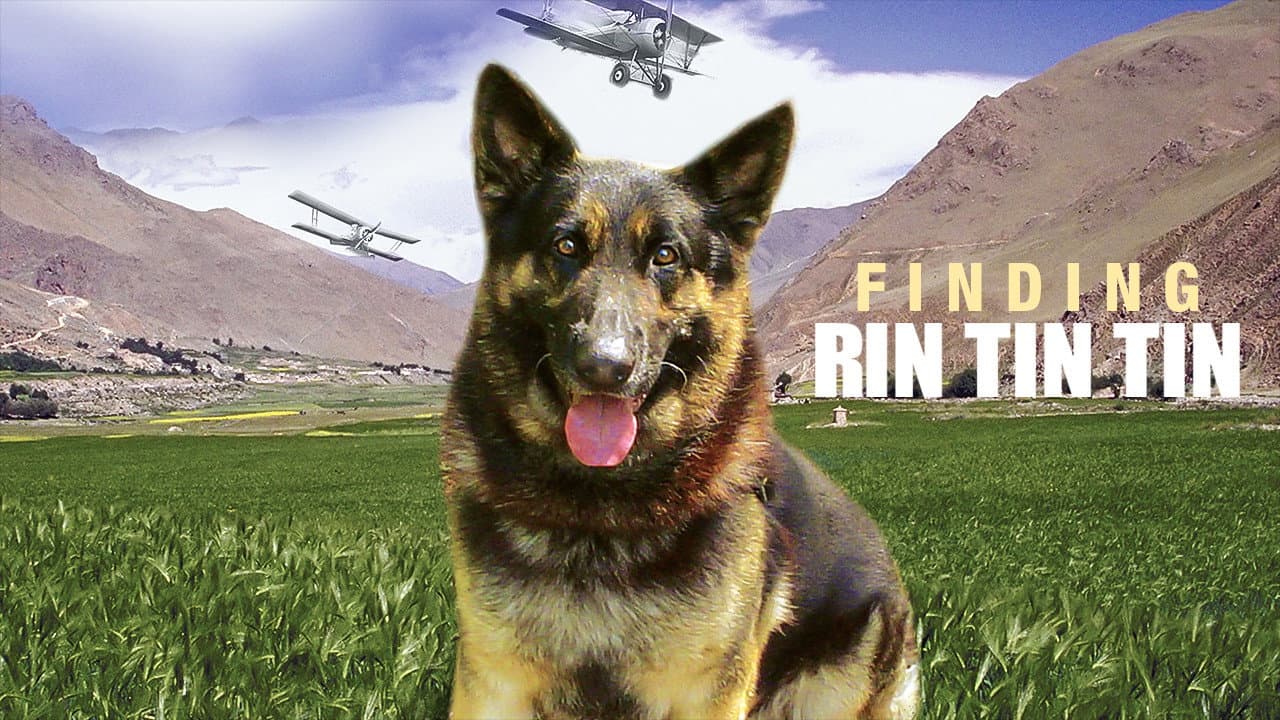 Finding Rin Tin Tin