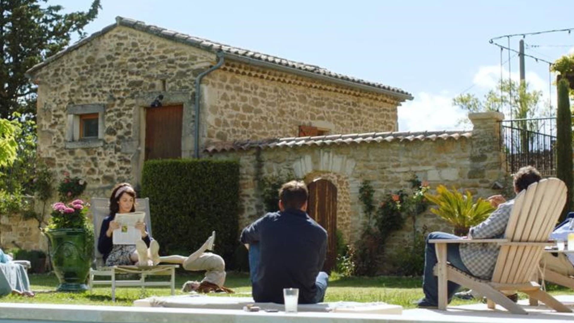 All Because of the Cat