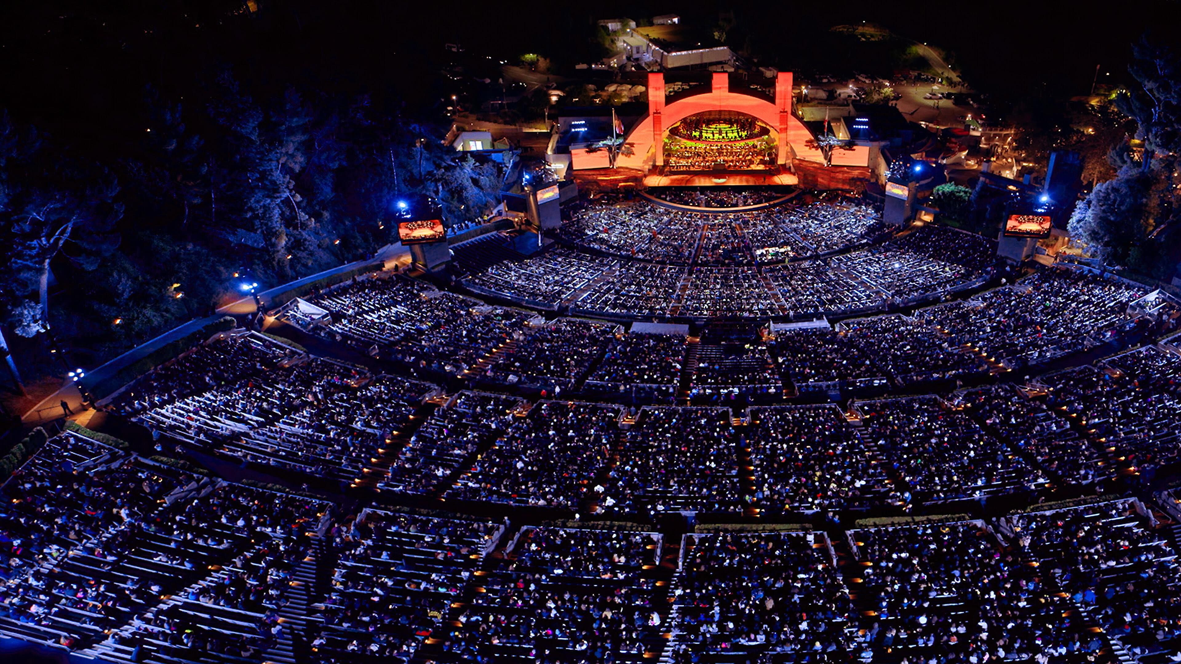 The Lion King at the Hollywood Bowl