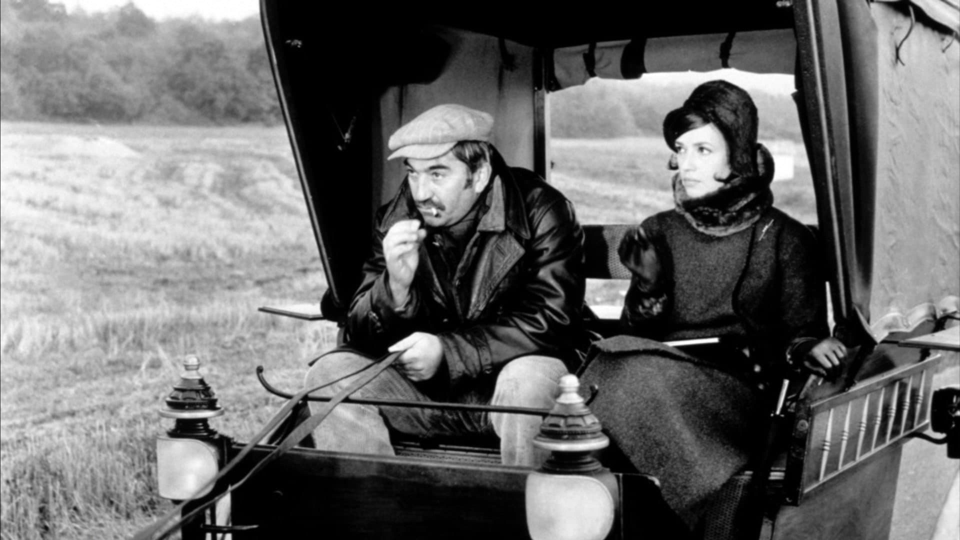 Diary of a Chambermaid