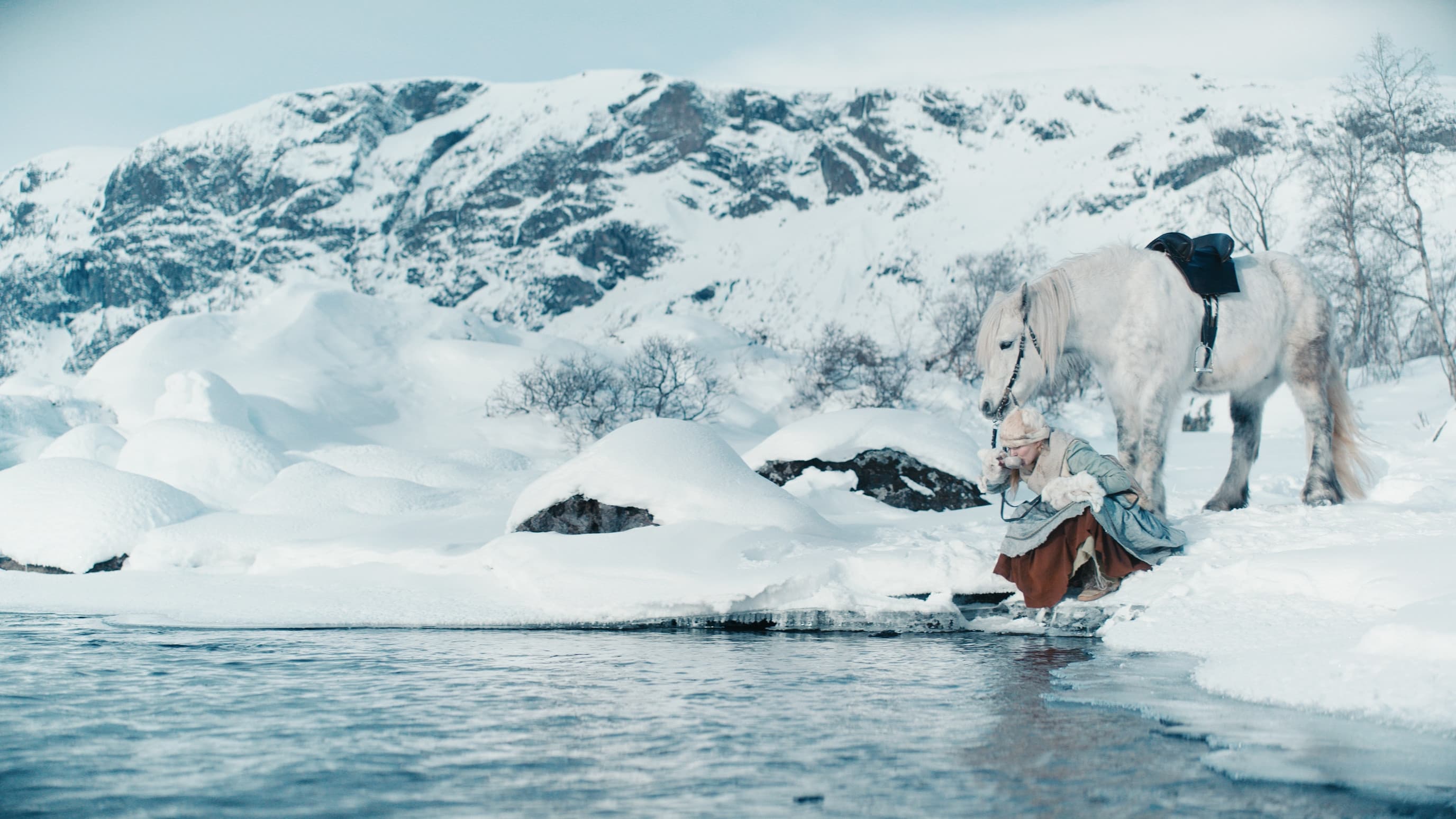 Three Wishes for Cinderella