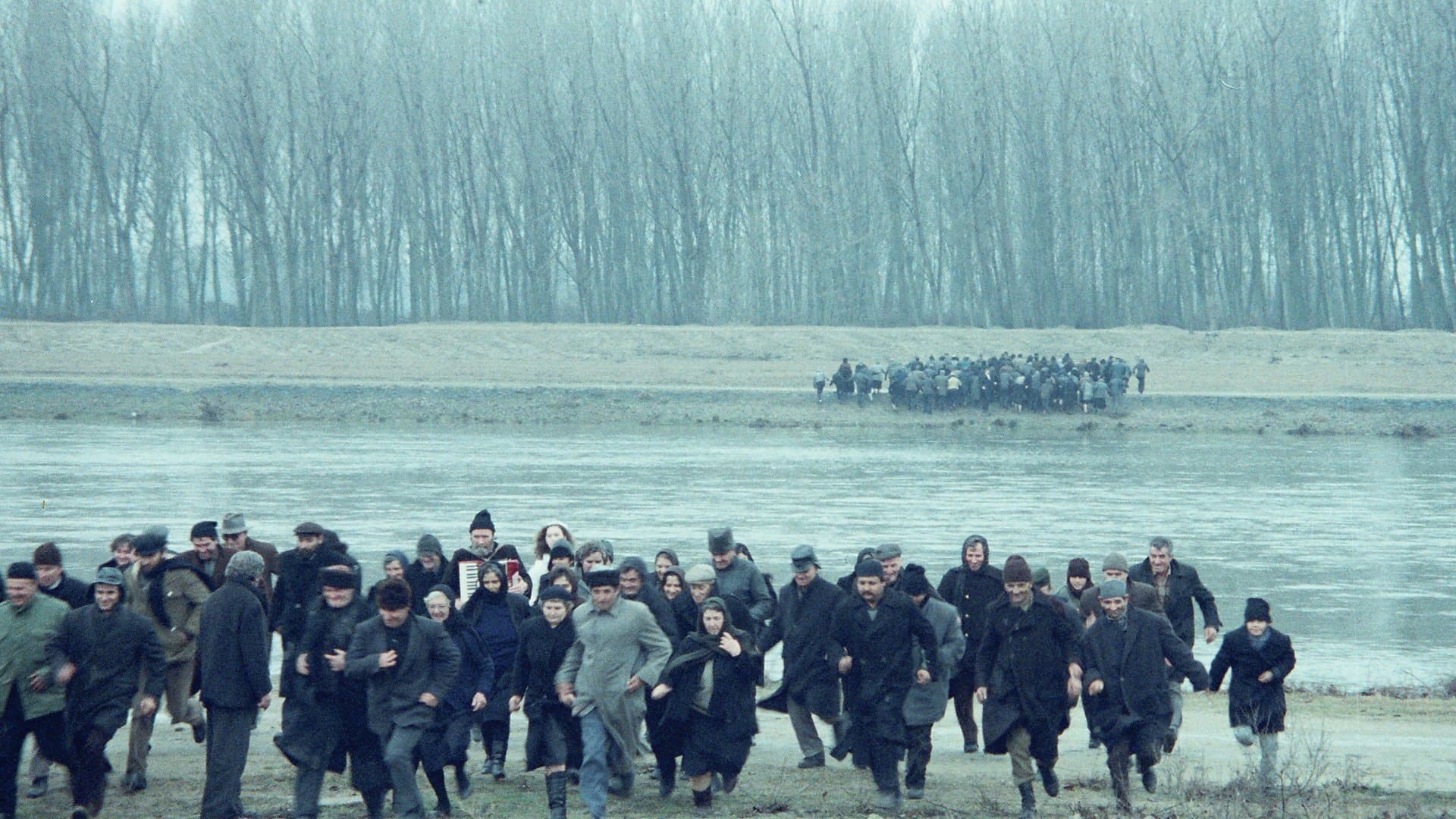 The Suspended Step of the Stork