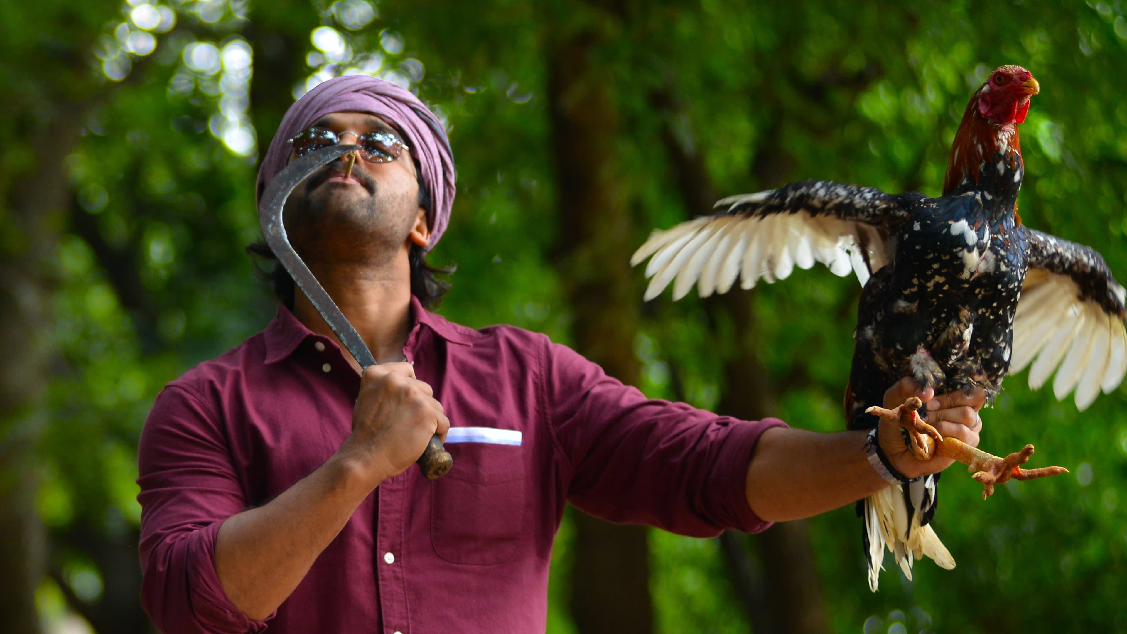 Ala Vaikunthapurramuloo