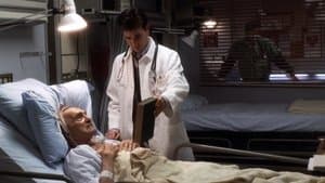 Nuit blanche à Chicago