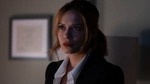 Le chef de la police