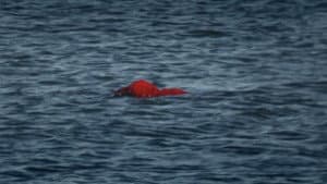 Les choses s'arrangent mais ça ne va pas mieux - 1ere partie