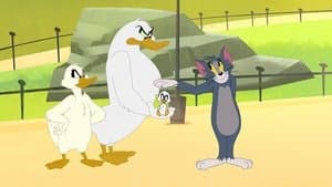 La bague au doigt / Apprends-moi à voler ! / Ça gonfle ! / Tom et le panda