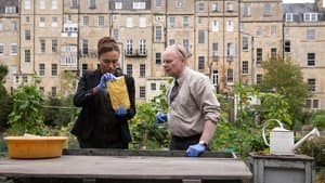 La chute de la maison Crockett