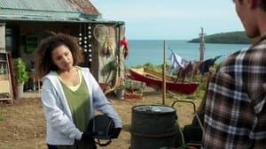 Le stage d'équitation