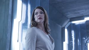 Les cicatrices de la vie