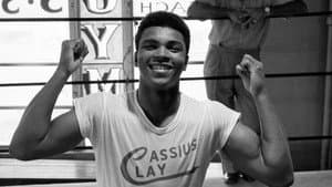 Round 1 : le plus grand (1942-1964)