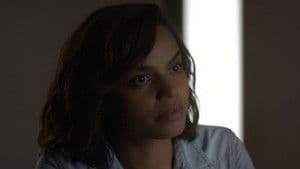 Plongée dans le passé