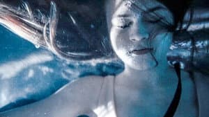 Dragonflies - première partie