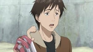 Errances dans la nuit