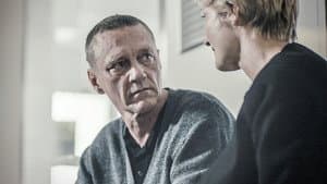 Dragonflies - seconde partie