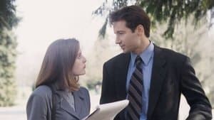 Nous ne sommes pas seuls