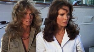 La filière mexicaine