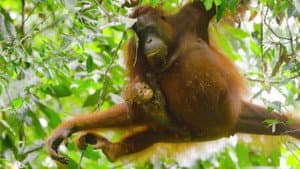 Toujours en mouvement