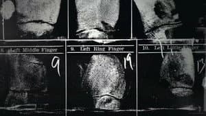 1. Un homme à abattre