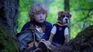 Dans la forêt sauvage