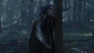 Nous n'irons plus au bois