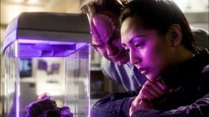 Mission d'exploration