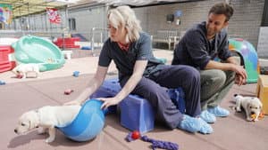 Que la formation commence !