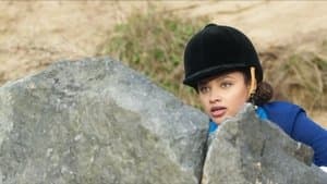 Le concours équestre