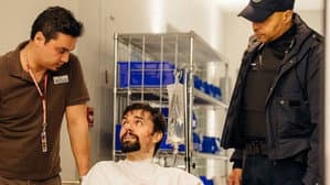 Ensemble, c'est tout