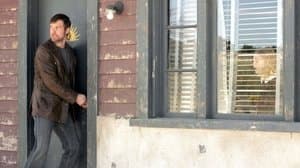 L’Œil et l'Occupant