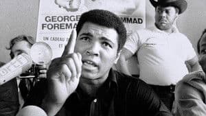 Round 4 : une destinée (1974-2016)