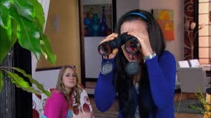 Daisy et Max : un amour du passé