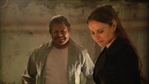 Attraction démesurée