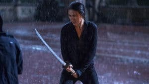 Intercepter le grand chef