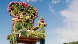 Énormes trônes comestibles