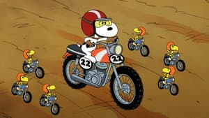 Speak Softly, and Carry a Beagle