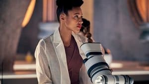 Monogamie & Futilité II